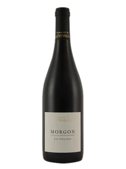 MORGON LES CHARMES DOMAINE DE LATHEVALLE